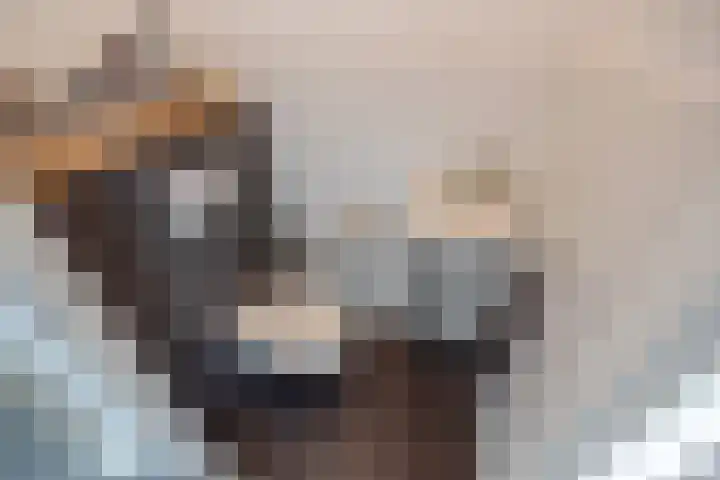 Vrouw Rijssensloot 20 Delft thumbnail 8