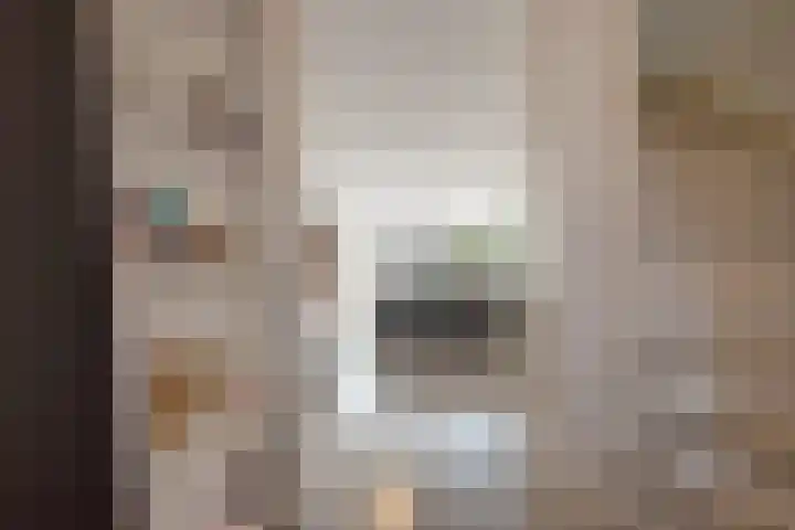 Vrouw Rijssensloot 20 Delft thumbnail 9
