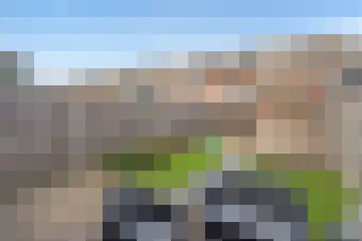 Vrouw Rijssensloot 36 Delft thumbnail 18