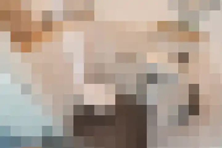 Vrouw Rijssensloot 36 Delft thumbnail 20