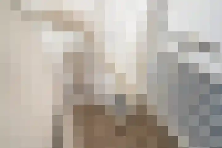 Vrouw Rijssensloot 36 Delft thumbnail 21