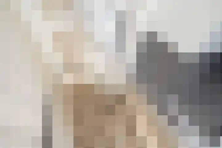 Vrouw Rijssensloot 36 Delft thumbnail 30