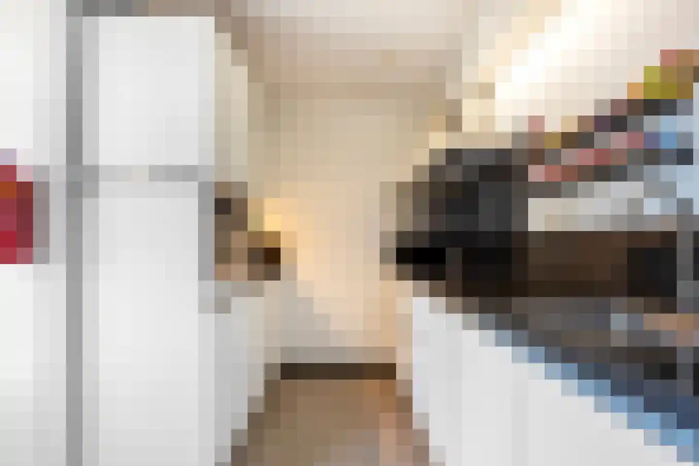 Vrouw Steenlaan 74 Anna Paulowna thumbnail 16