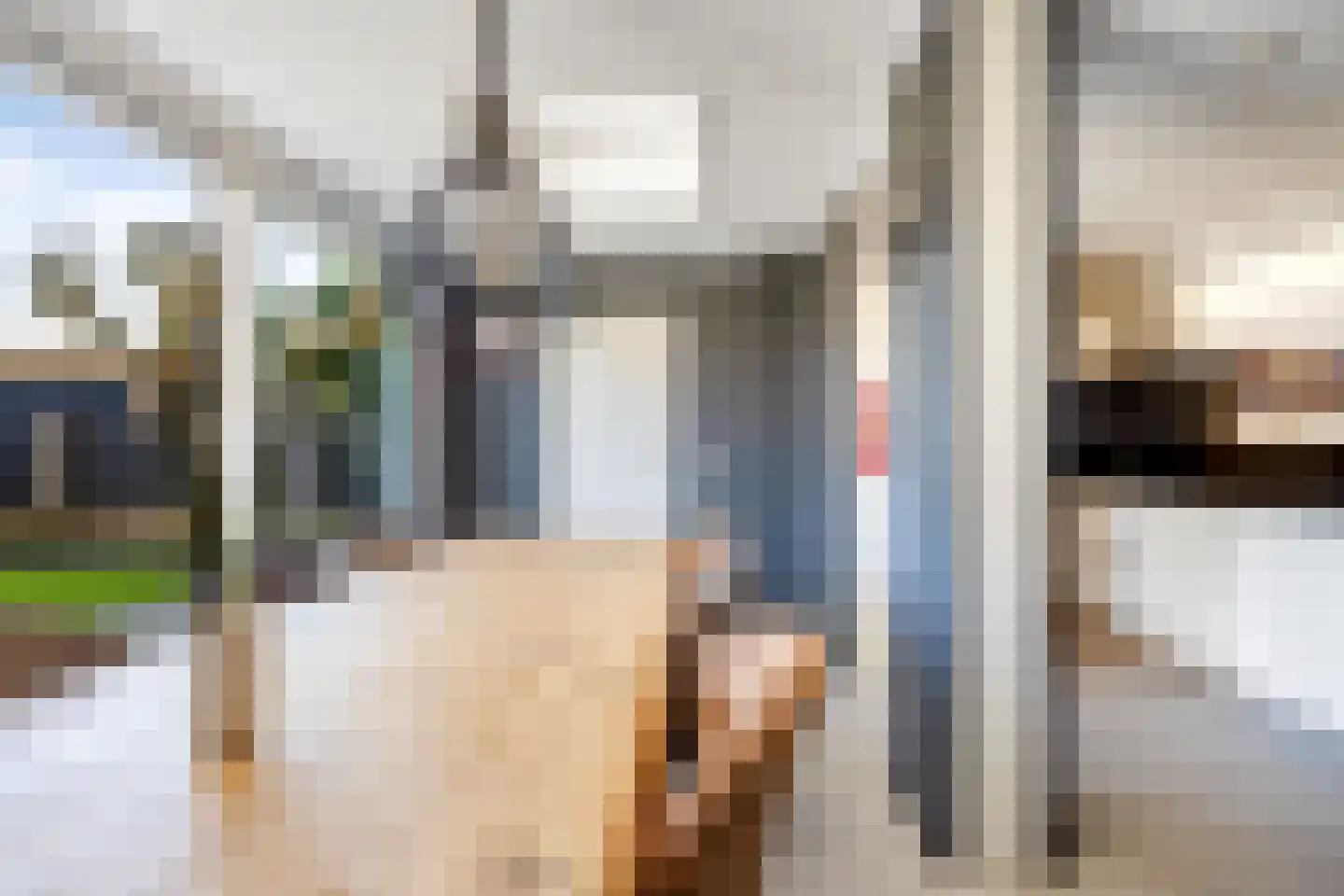 Vrouw Steenlaan 74 Anna Paulowna thumbnail 19