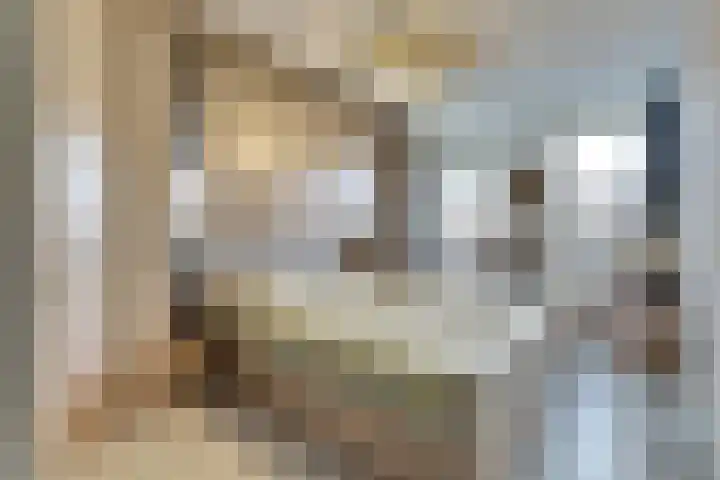 Vrouw Traasstraat 14 Venlo thumbnail 12