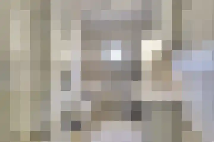 Vrouw Traasstraat 14 Venlo thumbnail 16