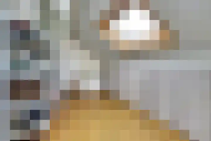 Vrouw Traasstraat 14 Venlo thumbnail 22