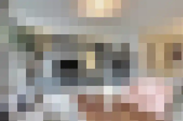 Vrouw Traasstraat 14 Venlo thumbnail 4