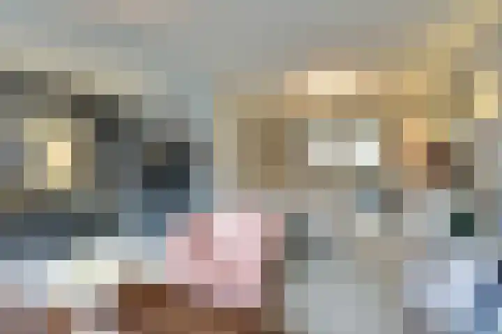 Vrouw Traasstraat 14 Venlo thumbnail 6
