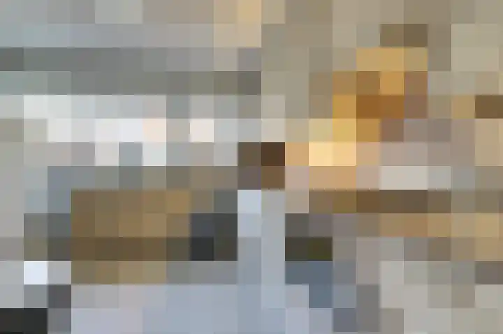 Vrouw Traasstraat 14 Venlo thumbnail 9