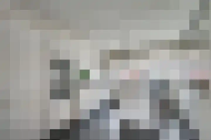 Vrouw Traasstraat 17 Venlo thumbnail 14