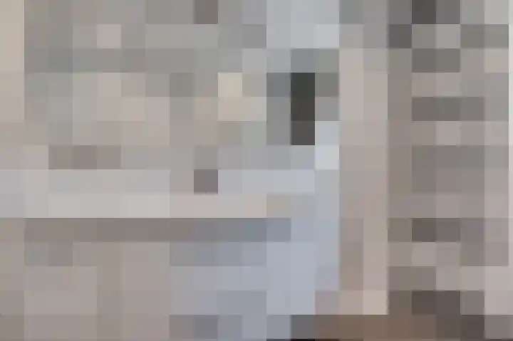 Vrouw Traasstraat 17 Venlo thumbnail 32