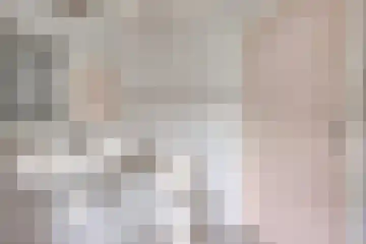 Vrouw Venneweg 3 Oud Ade thumbnail 13