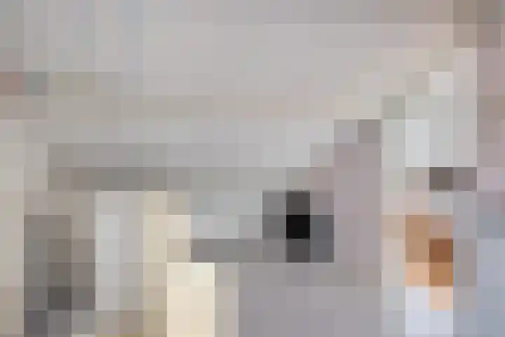Vrouw Venneweg 3 Oud Ade thumbnail 15