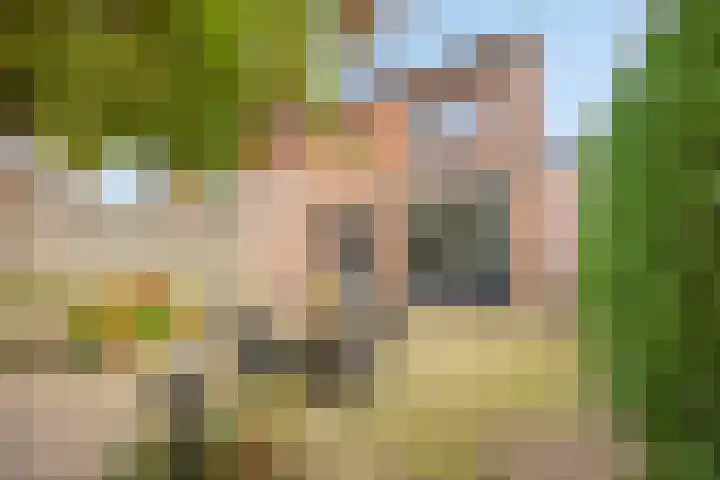 Vrouw Venneweg 3 Oud Ade thumbnail 19