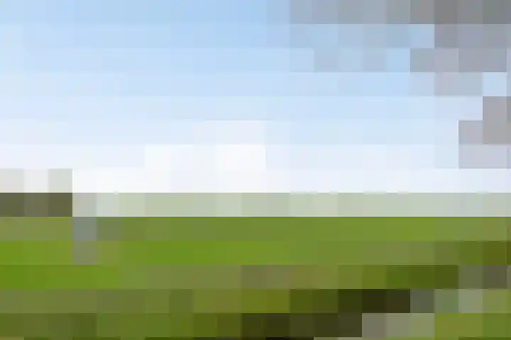 Vrouw Venneweg 3 Oud Ade thumbnail 21