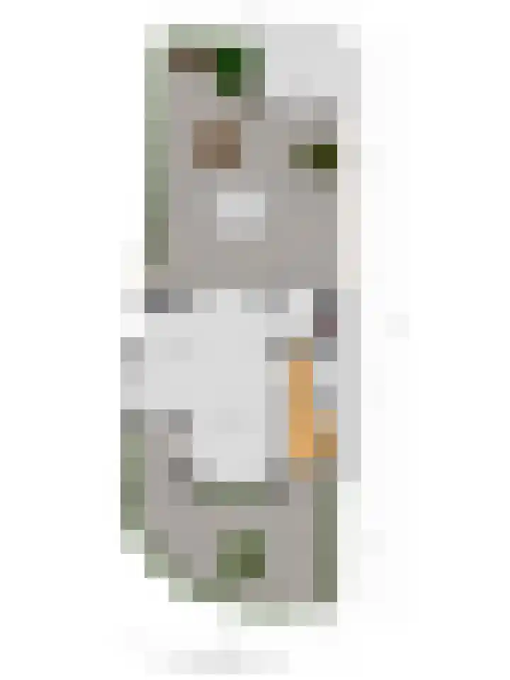 Vrouw Venneweg 3 Oud Ade thumbnail 25