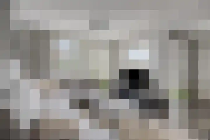 Vrouw Venneweg 3 Oud Ade foto 3