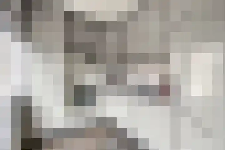 Vrouw Venneweg 3 Oud Ade thumbnail 8