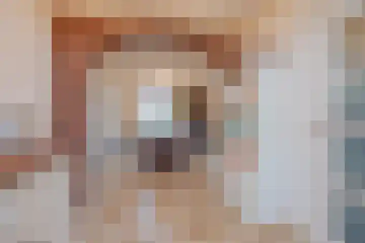 Vrouwboomweg 1 Horst thumbnail 10