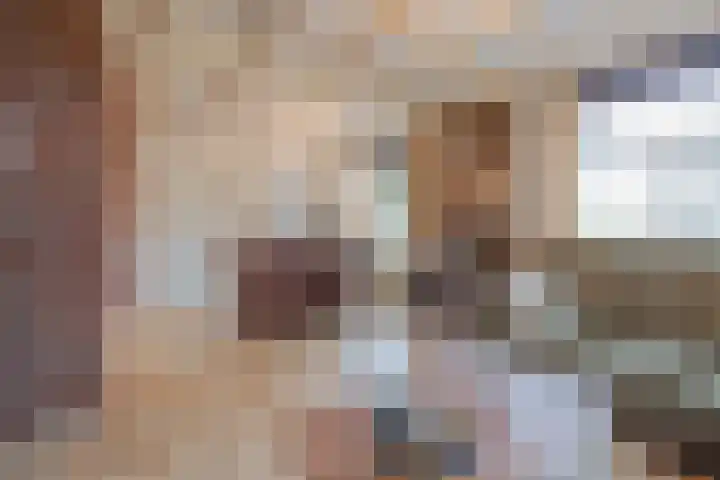 Vrouwboomweg 1 Horst thumbnail 14
