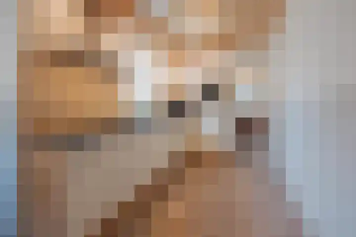 Vrouwboomweg 1 Horst thumbnail 16