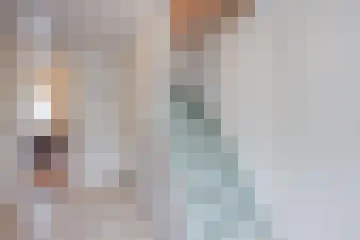 Vrouwboomweg 1 Horst thumbnail 20