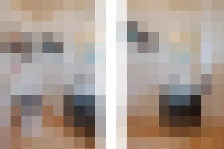 Vrouwboomweg 1 Horst thumbnail 22