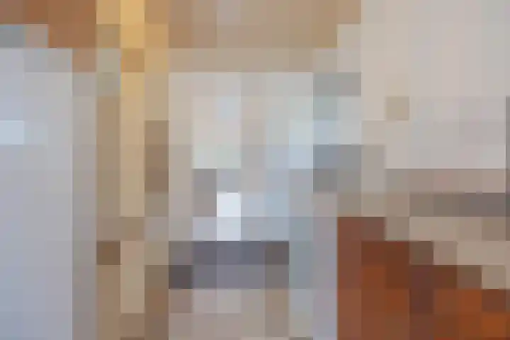 Vrouwboomweg 1 Horst thumbnail 27