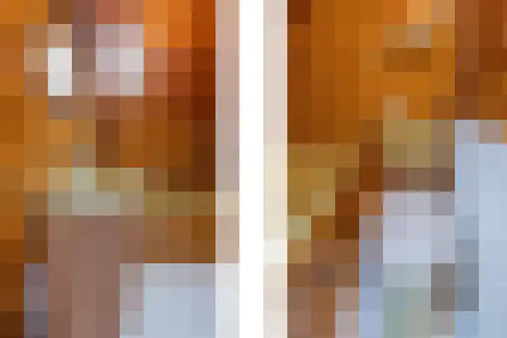 Vrouwboomweg 1 Horst thumbnail 35