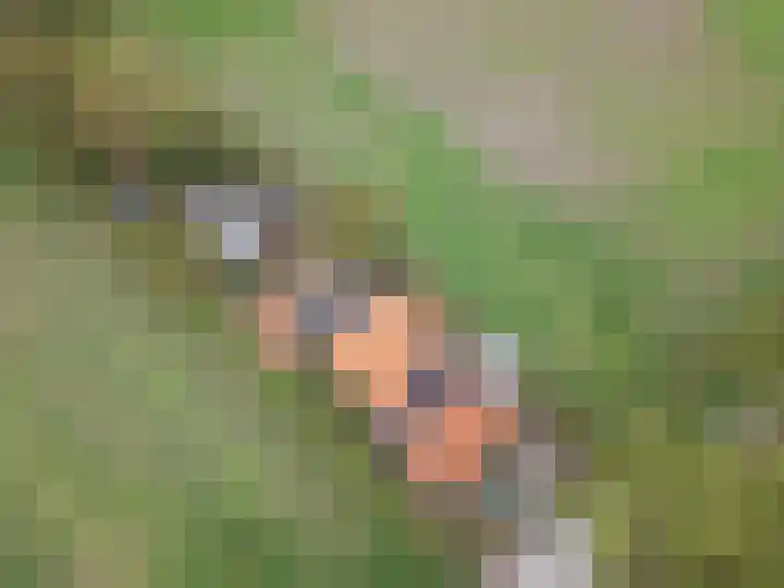 Vrouwboomweg 1 Horst thumbnail 37