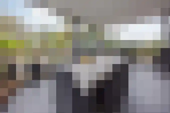Vrouwboomweg 1 Horst thumbnail 38