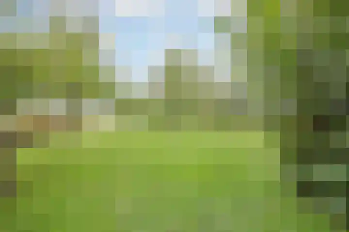 Vrouwboomweg 1 Horst thumbnail 4