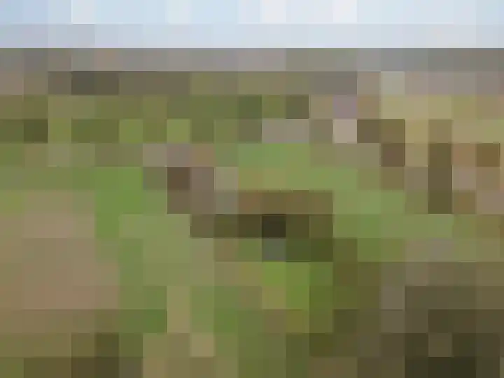 Vrouwboomweg 1 Horst thumbnail 40