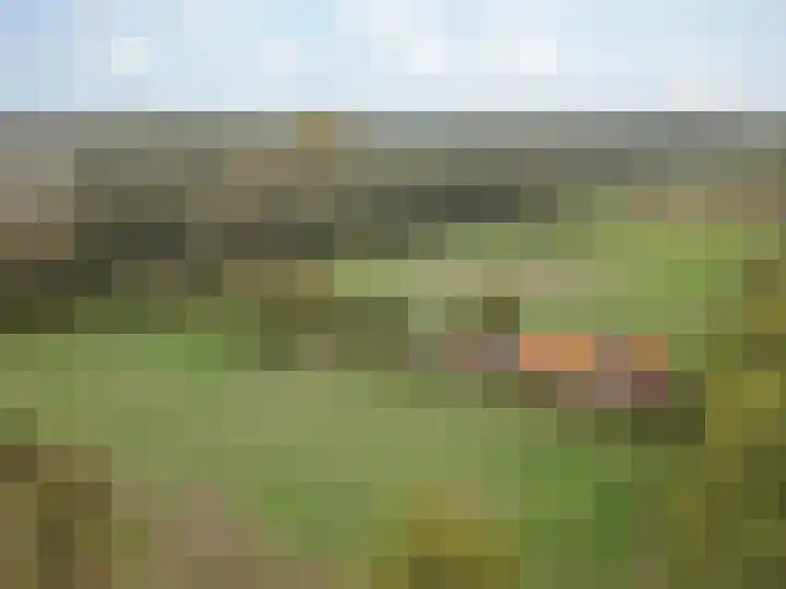 Vrouwboomweg 1 Horst thumbnail 41