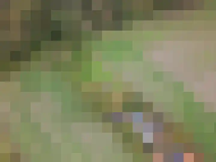 Vrouwboomweg 1 Horst thumbnail 42