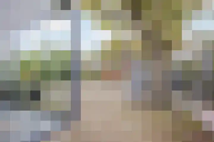 Vrouwboomweg 1 Horst thumbnail 43