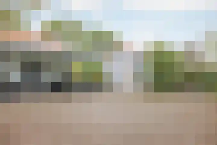 Vrouwboomweg 1 Horst thumbnail 46