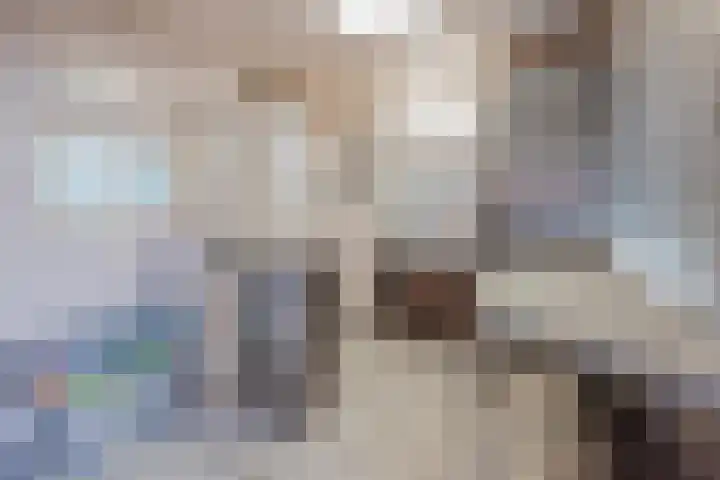 Vrouwboomweg 1 Horst thumbnail 47