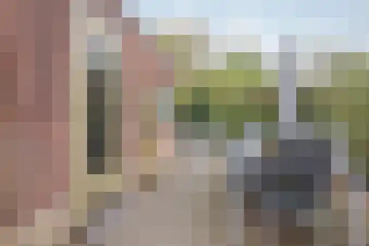 Vrouwboomweg 1 Horst thumbnail 48