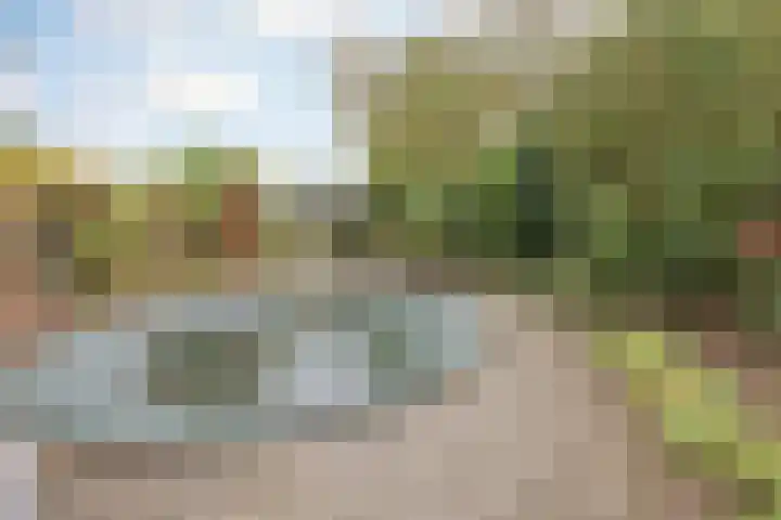 Vrouwboomweg 1 Horst thumbnail 49
