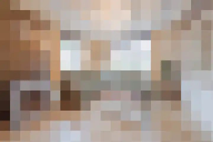 Vrouwboomweg 1 Horst thumbnail 5