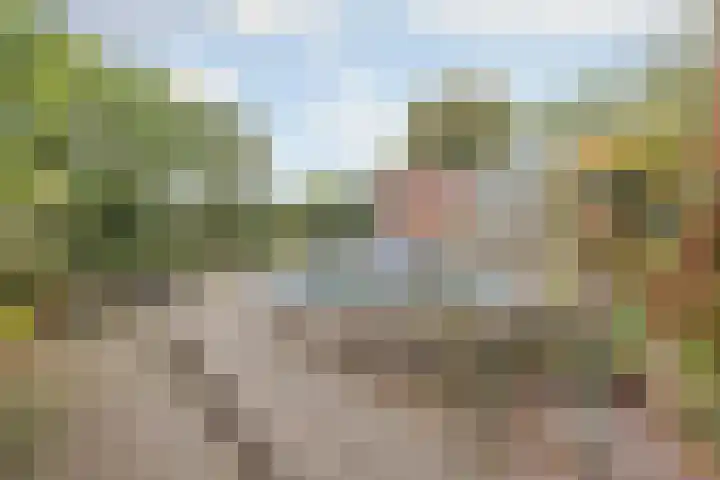 Vrouwboomweg 1 Horst thumbnail 51