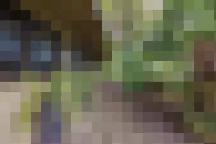 Vrouwboomweg 1 Horst thumbnail 52