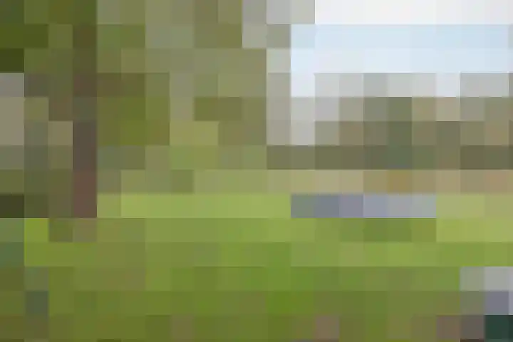 Vrouwboomweg 1 Horst thumbnail 53
