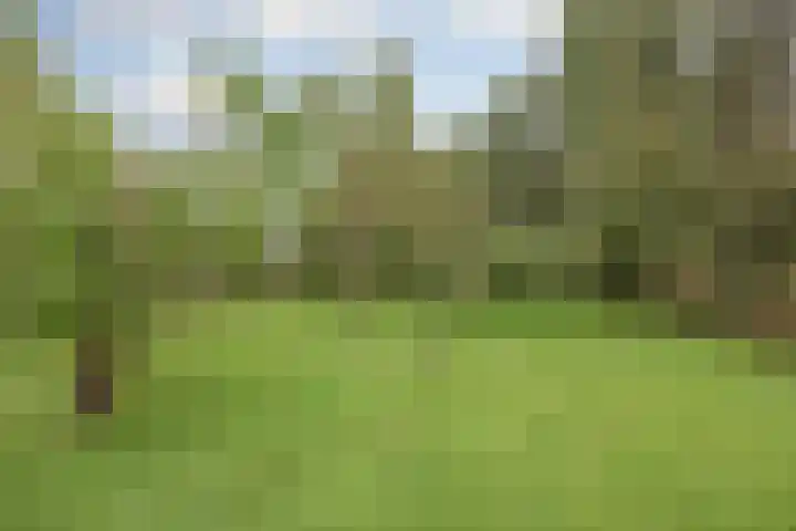 Vrouwboomweg 1 Horst thumbnail 55