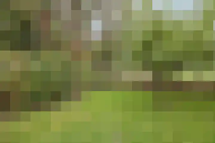 Vrouwboomweg 1 Horst thumbnail 56