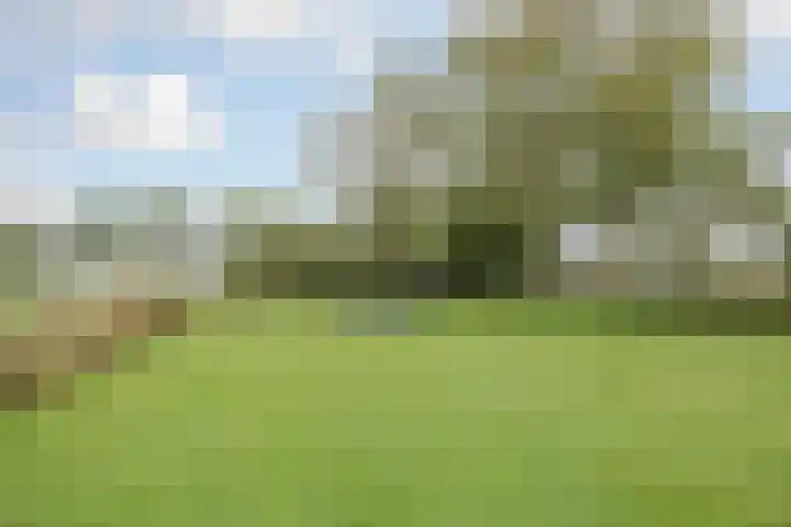 Vrouwboomweg 1 Horst thumbnail 57
