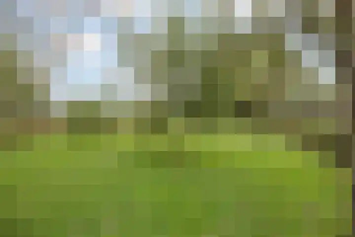 Vrouwboomweg 1 Horst thumbnail 58