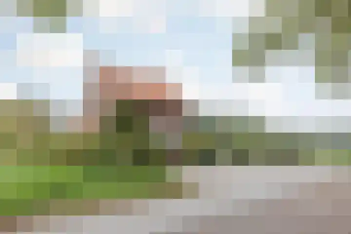 Vrouwboomweg 1 Horst thumbnail 59